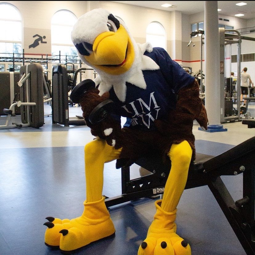 Pictured is an eagle mascot sitting on a bench in a gym lifting a weight while it looks towards the viewer.