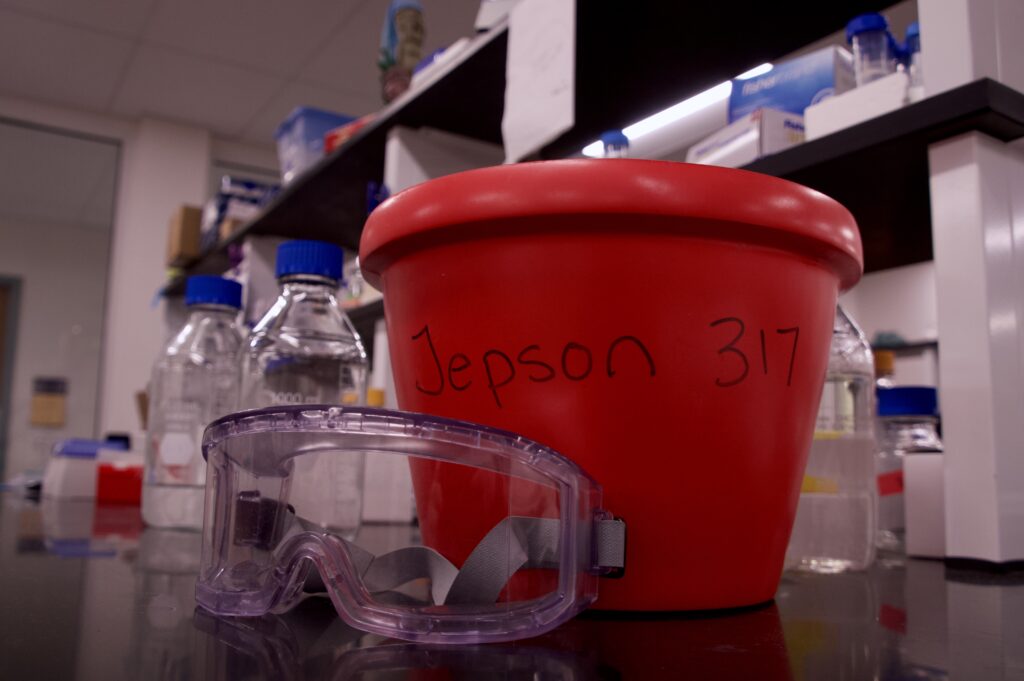 Lab goggles and a red bucket labeled "Jepson 317" sit on a black lab table.