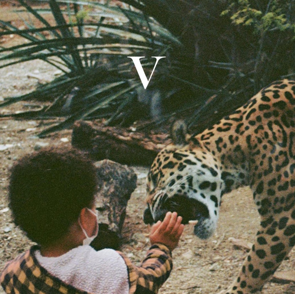 A child touching a glass window with a Cheetah biting towards his hand.