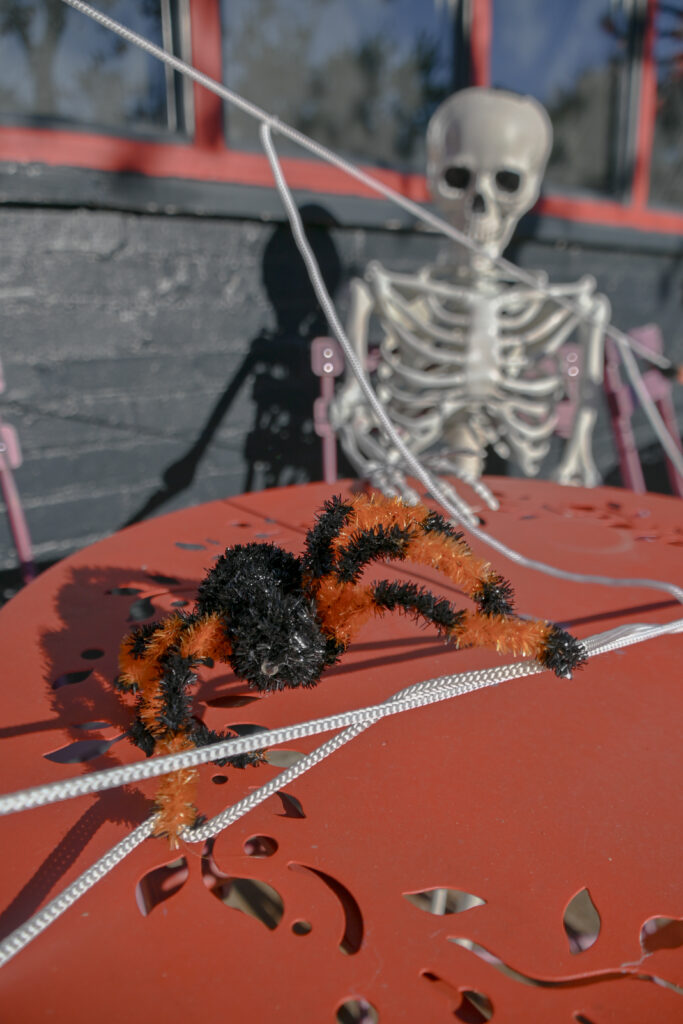 An image of a skeleton sitting at a table looking at a fake orange and black spider.