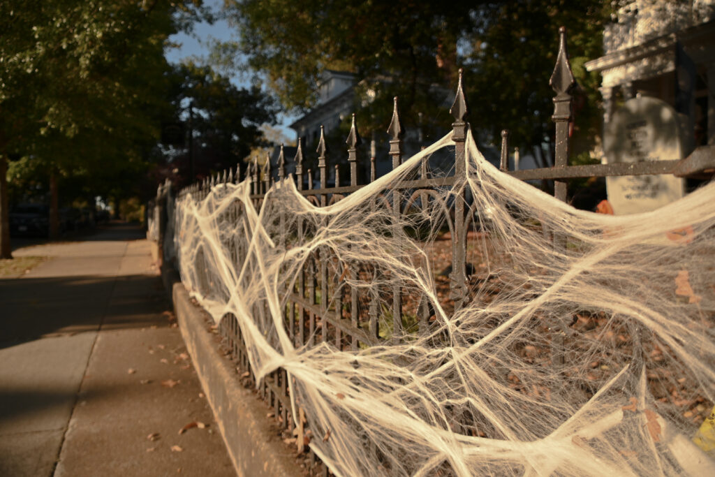 An image of spider web decoration is on somebody's black pointed fence.