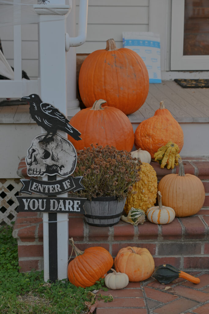 Image of pumpkins of all shapes and sizes alongside a sign that says "enter if you dare."