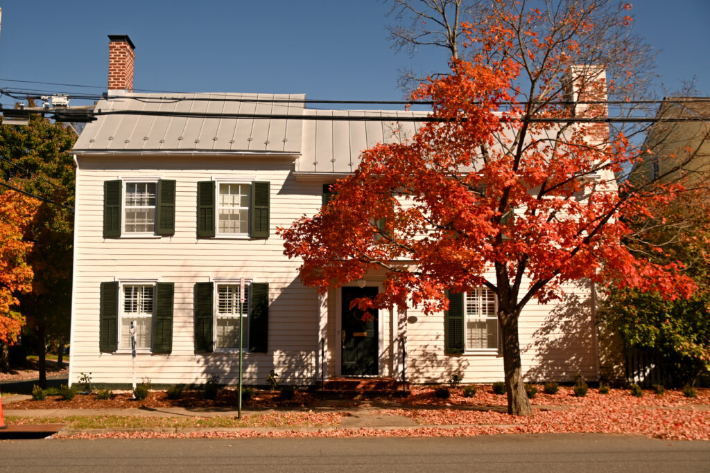 A beautiful red leafed tree grows beside and old white house in downtown Fredericksburg